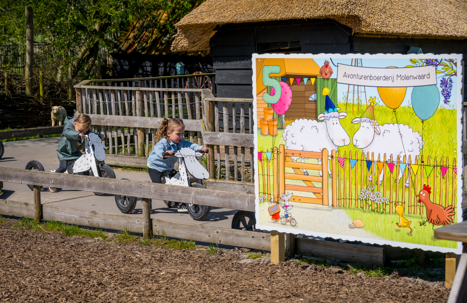 5 jaar avonturenboerderij molenwaard mike en molly