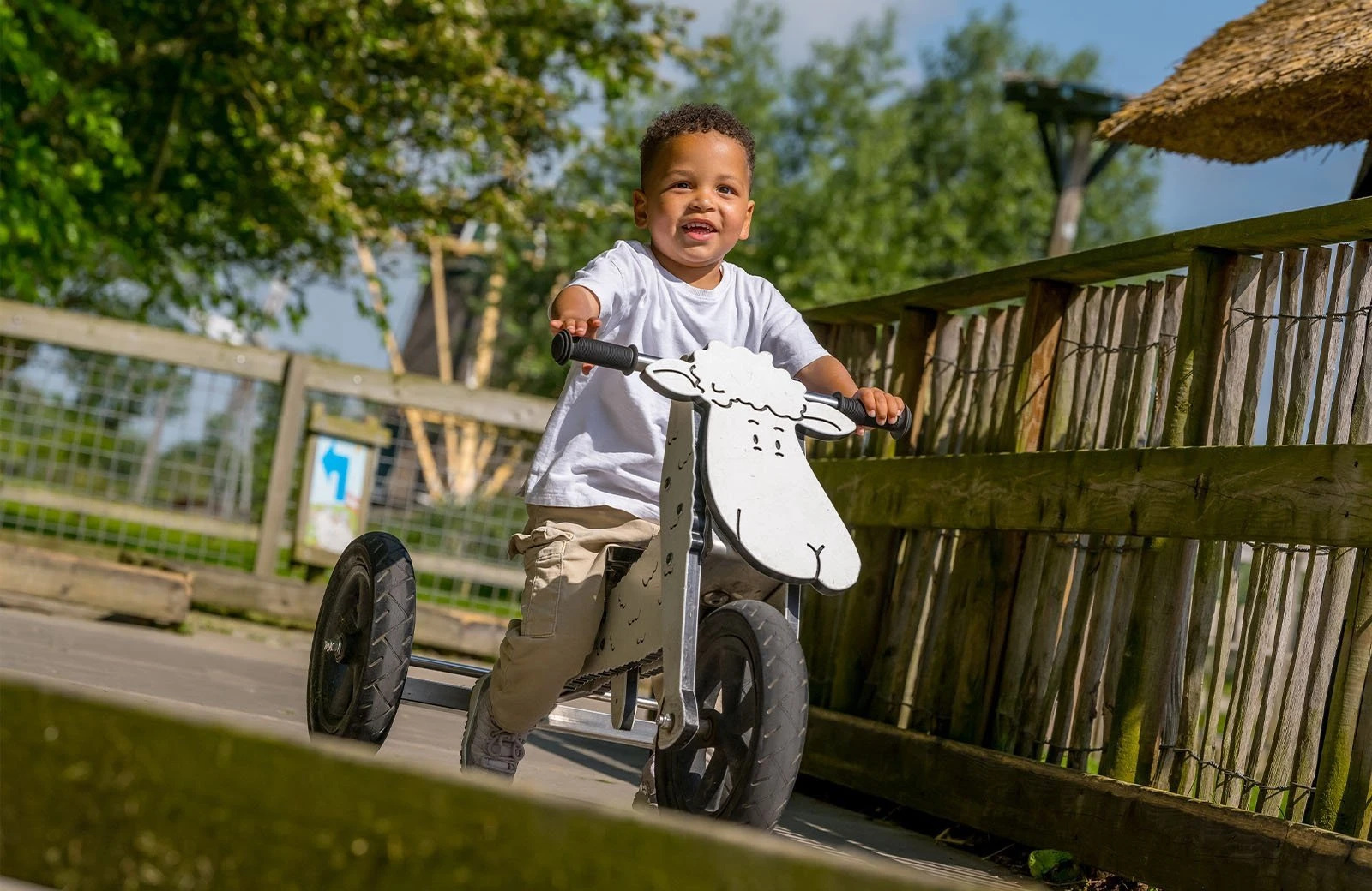 Mike en molly fietsjes abm webformaat